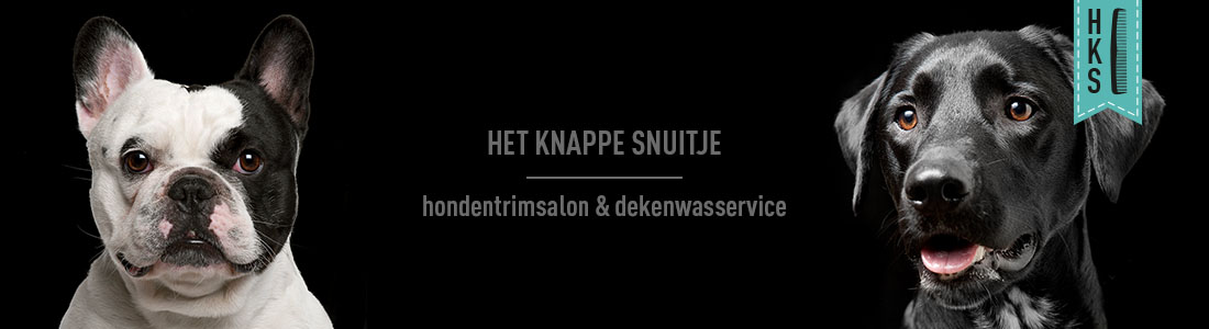 het-knappe-snuitje-banner-08 het knappe snuitje hondentrimsalon etten-leur banner