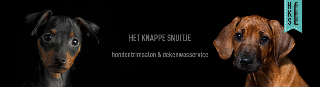 het-knappe-snuitje-banner-01 het knappe snuitje hondentrimsalon etten-leur banner