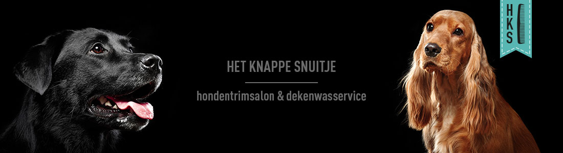 het-knappe-snuitje-banner-04 het knappe snuitje hondentrimsalon etten-leur banner