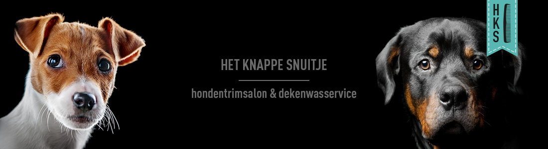 het knappe snuitje hondentrimsalon etten-leur banner